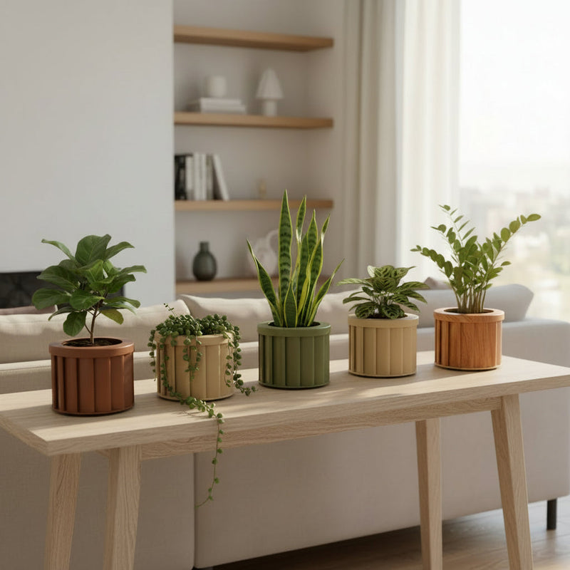 How to Choose the Perfect Planter for Every Space