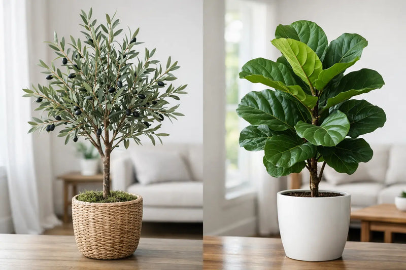 Faux Olive Versus Fiddle Leaf: Which Fits?