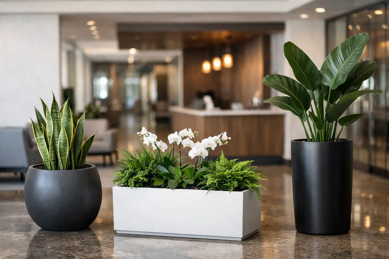 Commercial Lobby Planters That Set the Tone