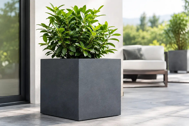 Fiberstone Cube Planter Review for Modern Spaces