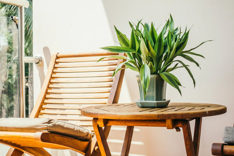 3 Advantages of Investing in Eucalyptus Wood Furniture