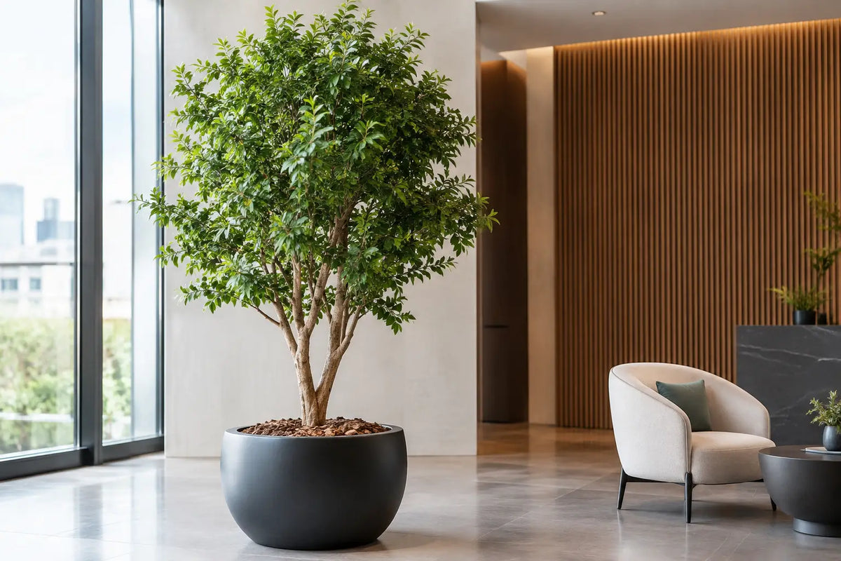 Artificial Tree Installation for Refined Spaces