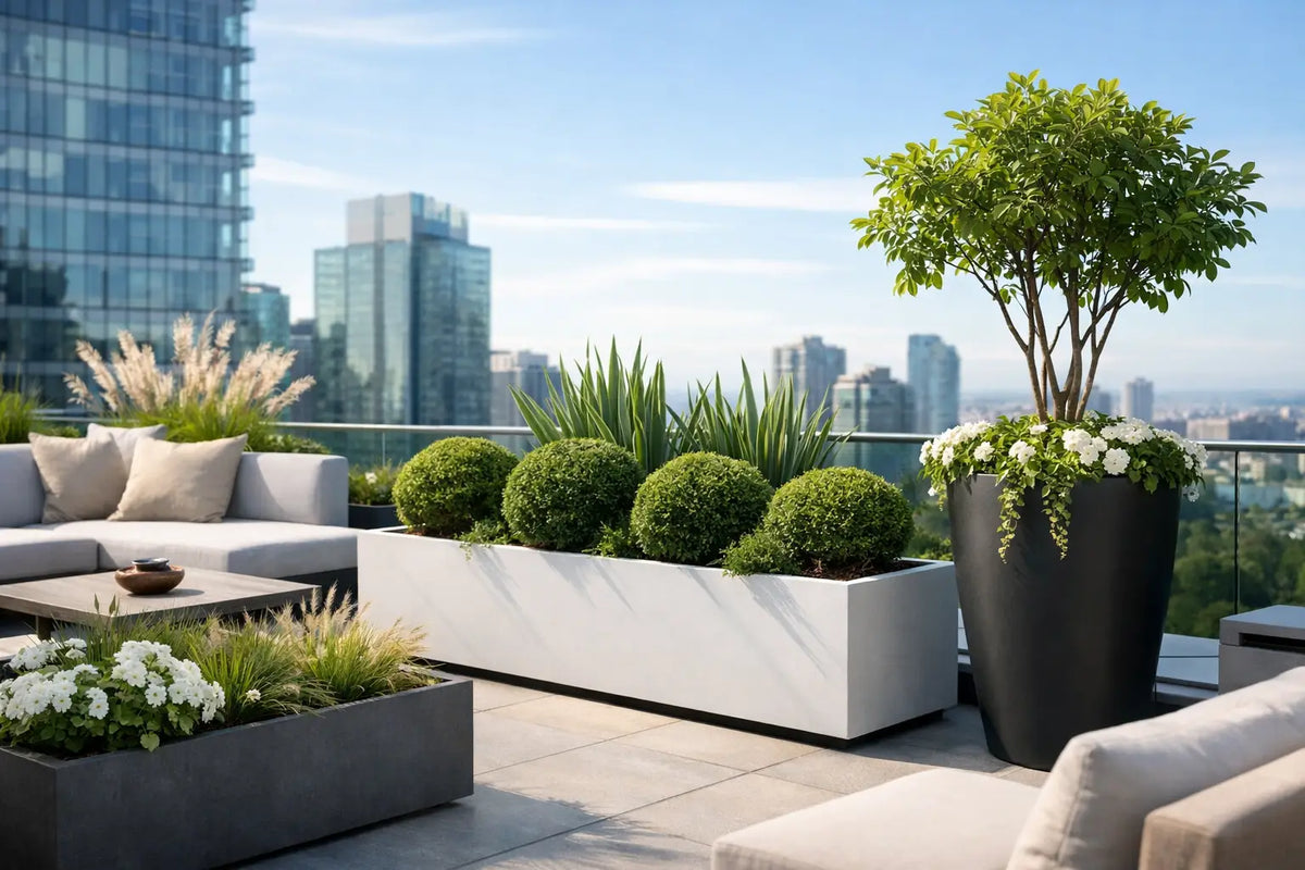 Rooftop Planters That Define a Modern Terrace