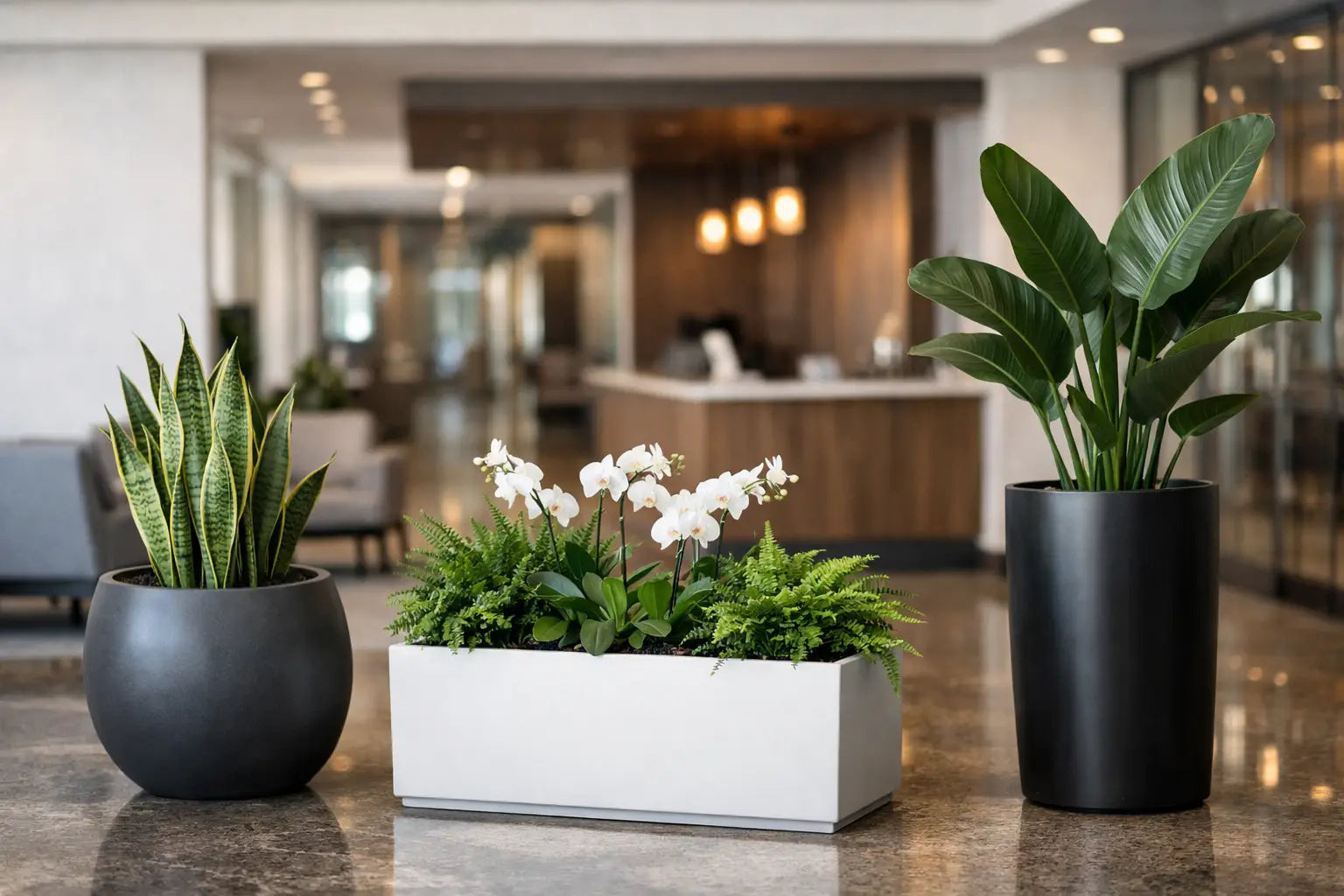 Commercial Lobby Planters That Set the Tone