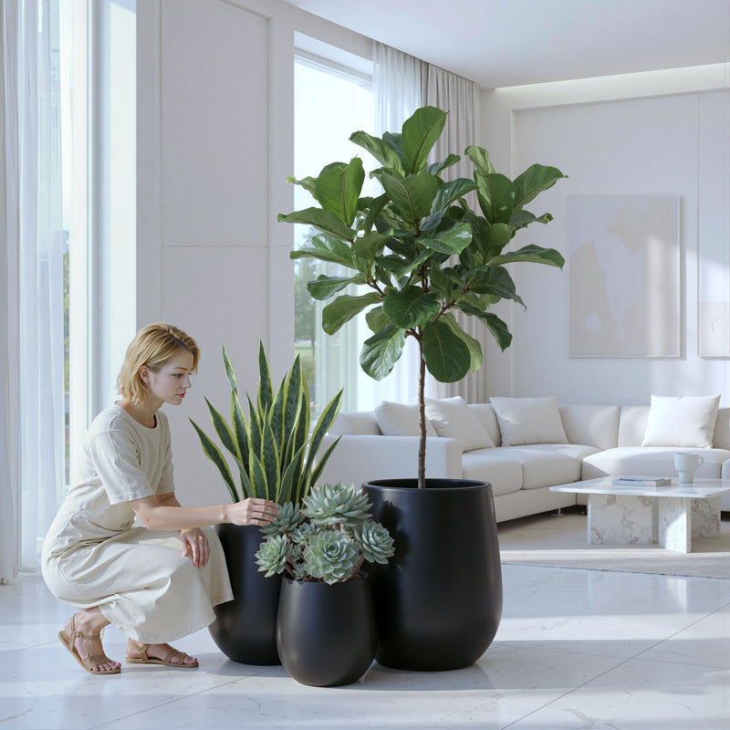 Why Fiberstone Planters Are the Modern Choice