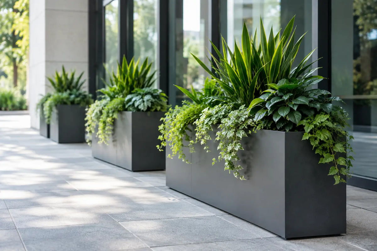 Commercial Planter Placement That Shapes Space