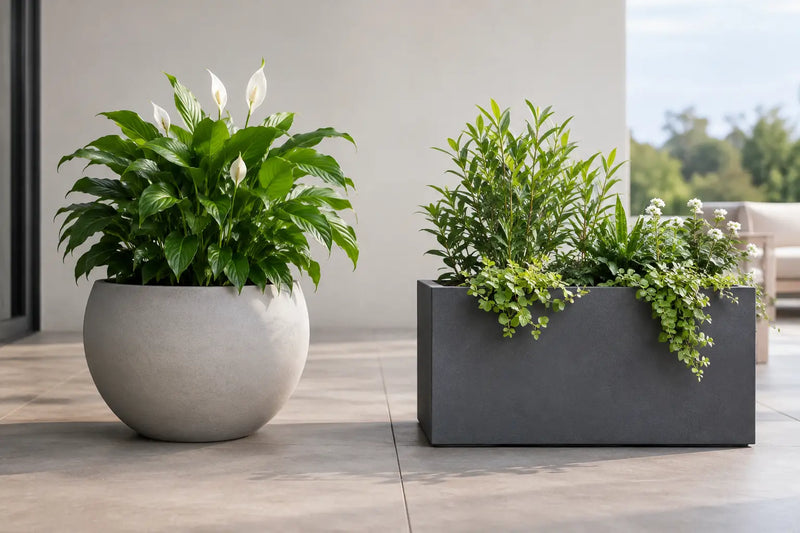 Round Versus Rectangular Planters: Which Fits?