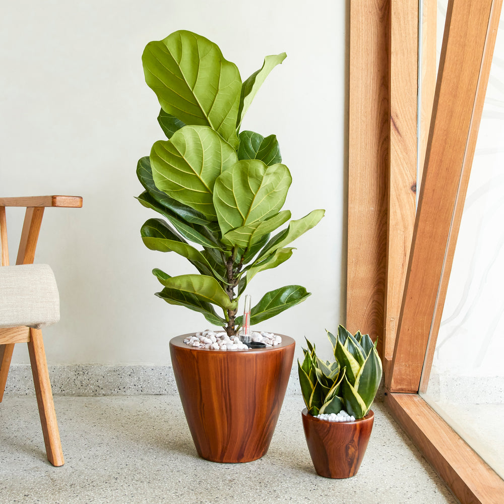 2-Pack 10 in.Dark Wood Plastic Self-watering Planter Pot Media 3