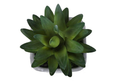 Artificial Plant, Set Of 2, 8' Tall, Succulent, Table, Grey Cement Pots, Contemporary, Modern perspective