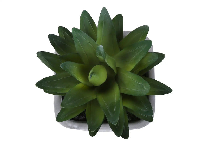 Artificial Plant, Set Of 2, 8' Tall, Succulent, Table, Grey Cement Pots, Contemporary, Modern