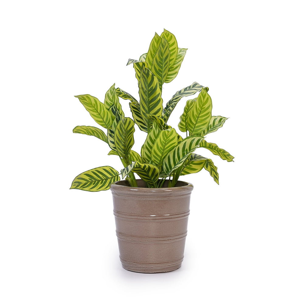 3 Pieces Ceramic Flowerpot, Modern Planter for Patio, Garden or Windowsills - Antique Yellow Media 6