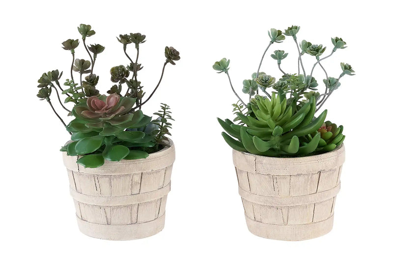 Artificial Plant, Set Of 2, 9' Tall, Succulent, Table, Beige Cement Pots, Contemporary, Modern