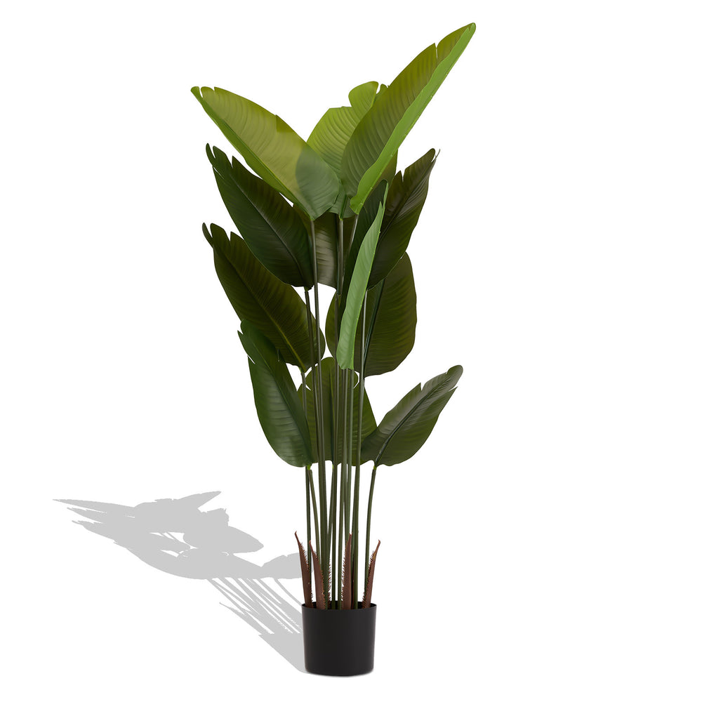 Artificial Bird of Paradise Plant 160cm Tall Faux Tropical Palm Tree Green Plastic Indoor Outdoor Decoration Media 4
