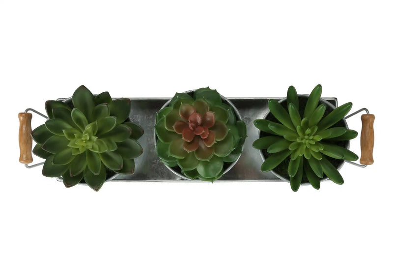 Artificial Plant, Set Of 3, 6' Tall, Succulent, Table, Silver Metal Pots, Contemporary, Modern
