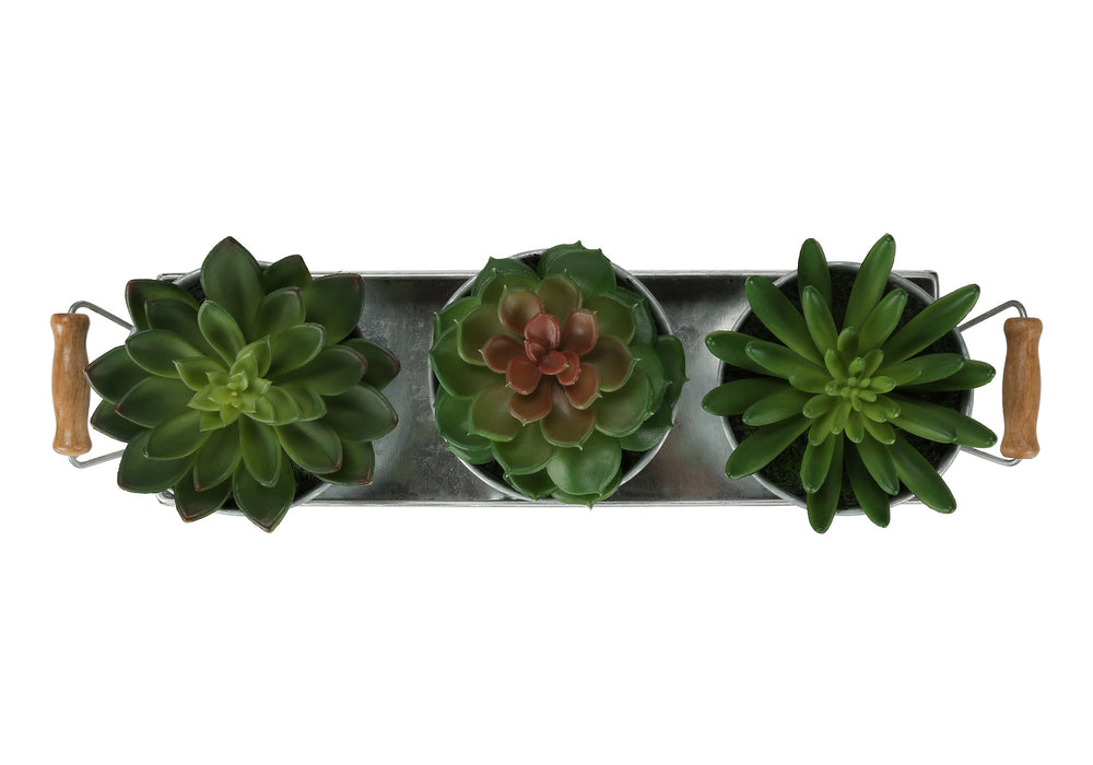 Artificial Plant, Set Of 3, 6' Tall, Succulent, Table, Silver Metal Pots, Contemporary, Modern Media 3