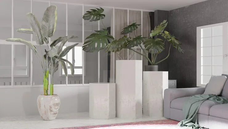 Urban Oasis