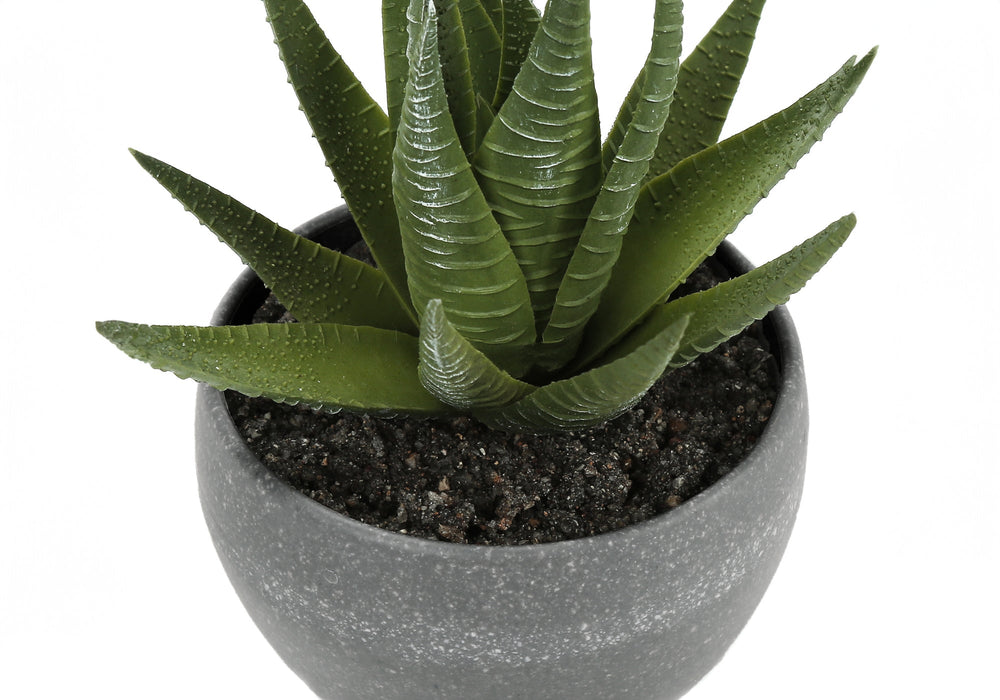 Artificial Plant, 6' Tall, Succulent, Indoor, Faux, Fake, Table, Greenery, Potted, Set Of 3, Decorative, Green Plants, Grey Cement Pots Media 3
