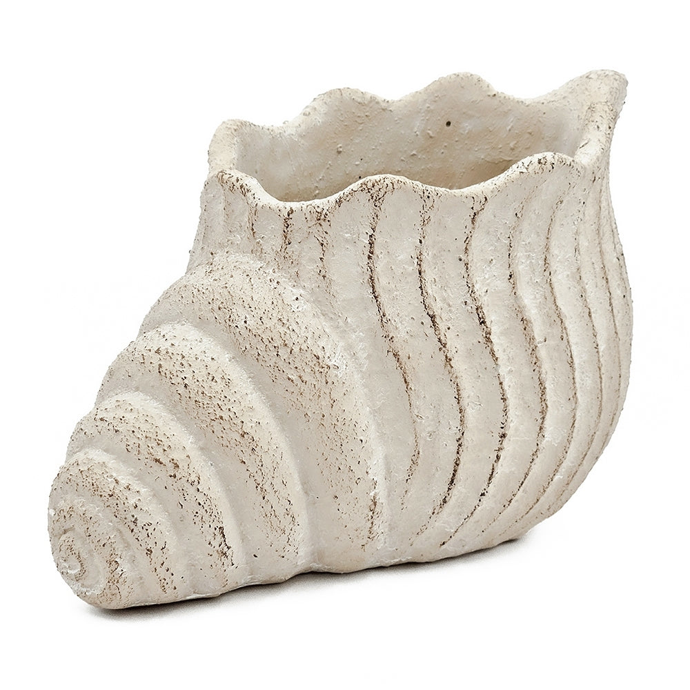 11.5x7x7' Sand and Cement Nautilus Shell Planter with Textured Beige Finish Media 5