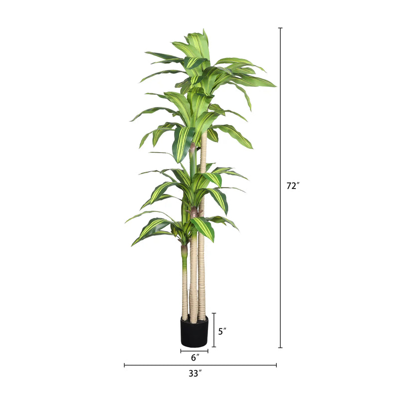 6' Artificial Dracaena Tree with Black Plastic Pot