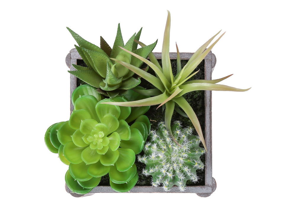 Artificial Plant, Set Of 2, 8' Tall, Succulent, Table, Grey Wooden Pots, Contemporary, Modern Media 4