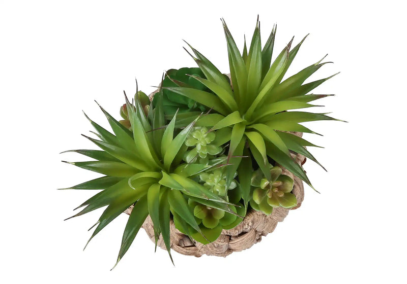 Artificial Plant, Set Of 2, 9' Tall, Succulent, Table, Brown Woven Basket, Contemporary, Modern