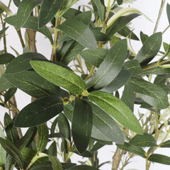 7' Artificial Olive Tree in Black Plastic Pot, 1pc/set perspective