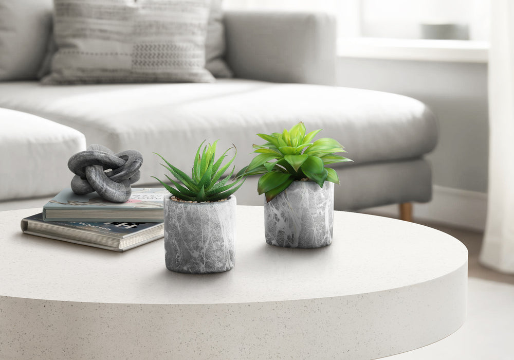 Artificial Plant, 6' Tall, Succulent, Indoor, Faux, Fake, Table, Greenery, Potted, Set Of 2, Decorative, Green Leaves, Grey Cement Pots Media 1