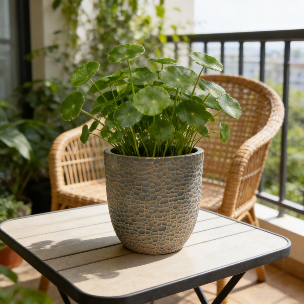Large Outdoor Indoor Planter, 15.75'+11.4'+7.87' Dia Round Magnesium Oxide Planter Set of 3, Flower Pots with Drainage Holes,  Planter for Garden, Patio, Home Media 5