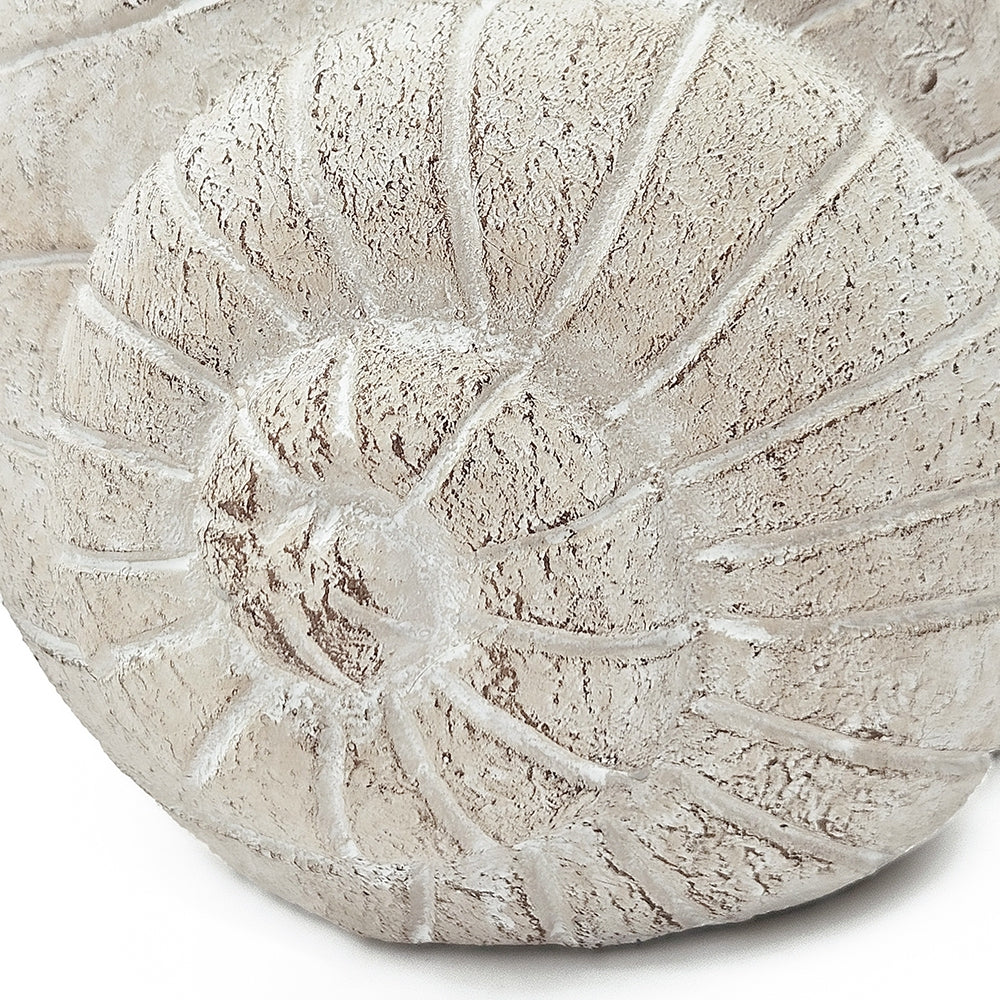 9.5x8.3x6' Decorative Sand and Cement Snail Planter with Textured Beige Finish Media 7