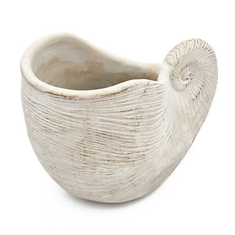 11.5x6.7x7.7' Sand and Cement Nautilus Shell Planter with Textured Beige Finish