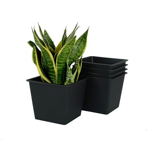 6.3' Square Nursery Plant Pot - Garden Plastic Pots with Drainage (5-Pack) Media 1