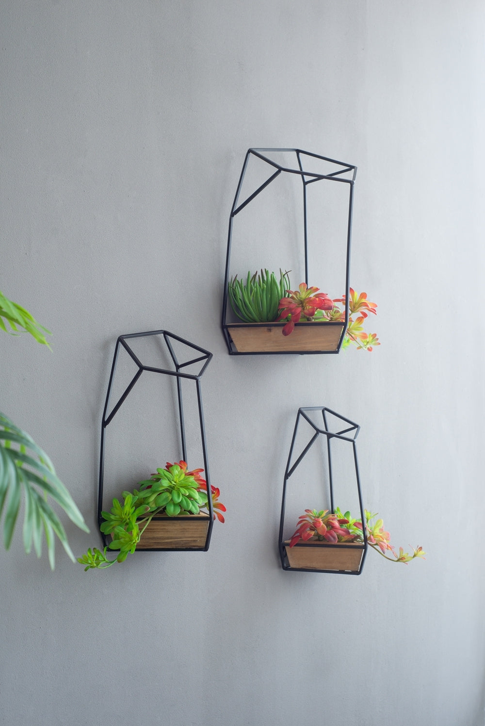 Set of 3 Felix Wall Planter, L:10x10x16.5'  M:8.5x8.5x15.5' S:7x7x13.5' Media 1