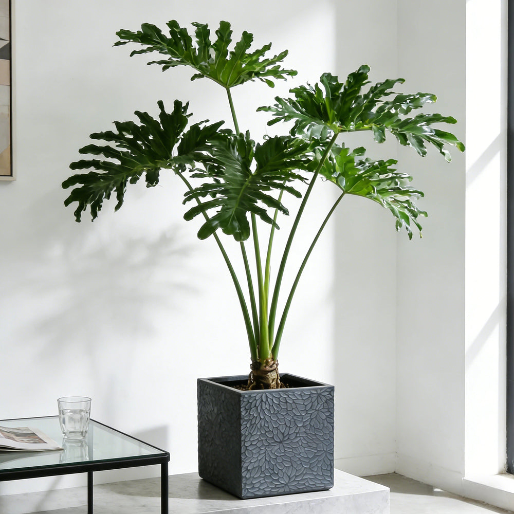 Large Outdoor Indoor Planter, 16.9'+14.37'+11.6' +9.25''Dia Square Magnesium Oxide Planter Set of 4, Flower Pots with Drainage Holes,  Modern Design, Grey Color Planter for Home Garden Patio Media 4