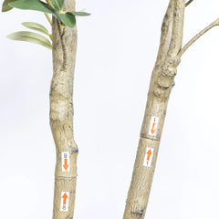 7' Artificial Olive Tree in Black Plastic Pot, 1pc/set perspective