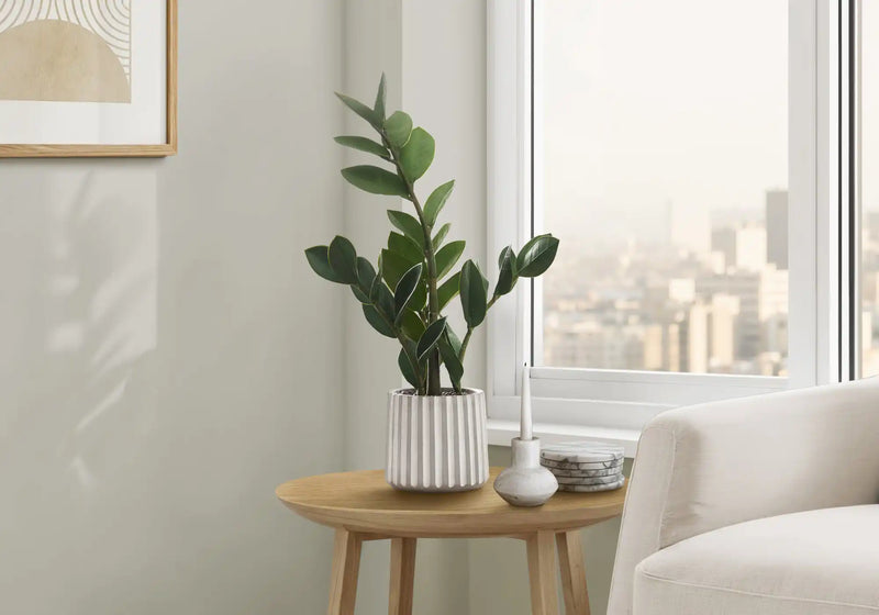 Artificial Plant, 20' Tall, Zz, Indoor, Faux, Fake, Table, Greenery, Potted, Real Touch, Decorative, Green Leaves, Grey Cement Pot