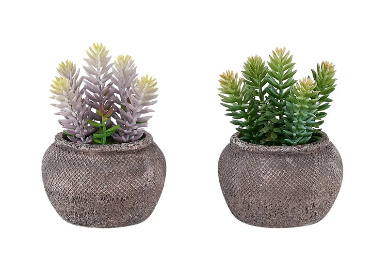 Artificial Plant, Set Of 2, 8' Tall, Succulent, Table, Brown Cement Pots, Contemporary, Modern