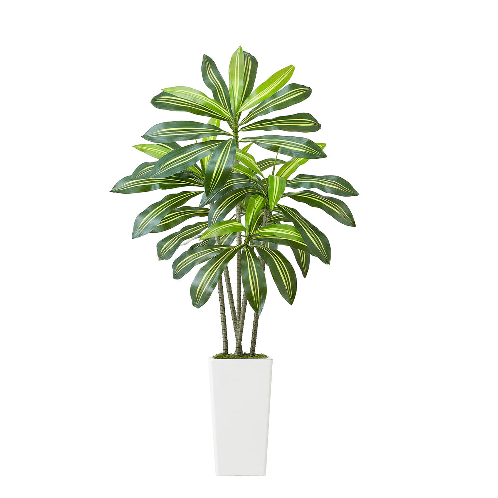 Artificial Dracaena Tree 5 ft, Fake Palm Tropical Plants with White Tall Planter, Faux Floor Silk Plant in Pot, Large Trees for Home Office Living Room Decor House Warming, Indoor Outdoor Media 3