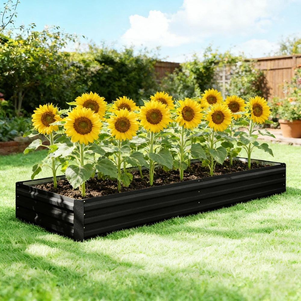 Flowers Box,Succulents Box,Raised Garden Bed Media 1