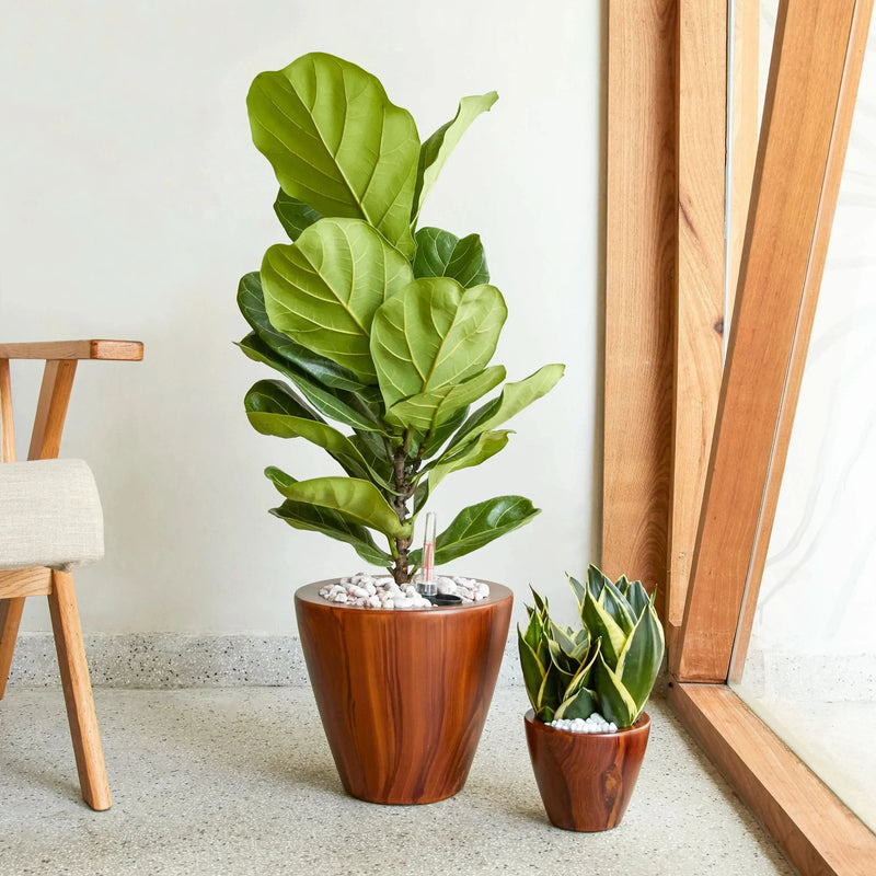 Self-Watering Wicker & Plastic Indoor Outdoor Planters Garden Decor Set
