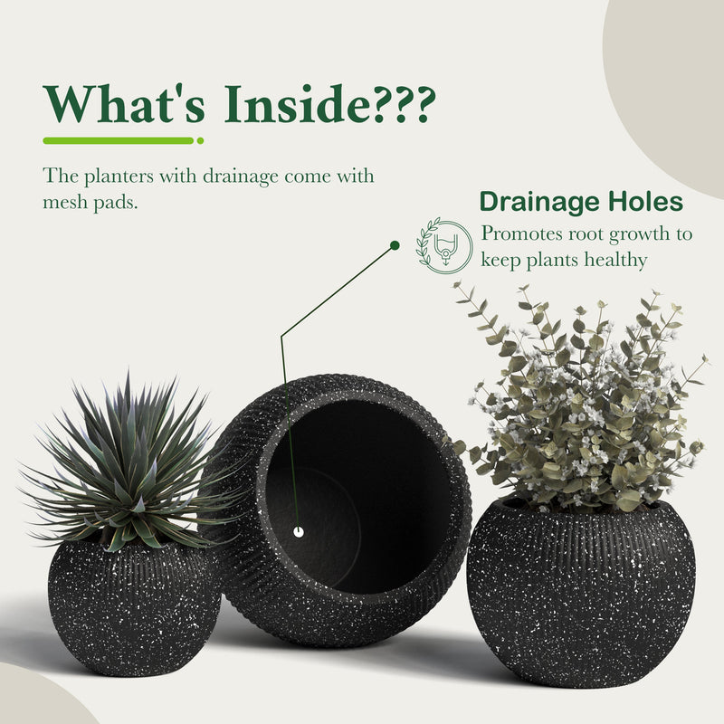 DTY Fiberstone Globe Planter Indoor Outdoor — Lightweight Sphere Ball Pot for Olive Tree, Monstera & Palm | Fiberglass Stone | UV Resistant, Drainage Hole | 2 Coco Mats | Black | 12.6" D × 10" H