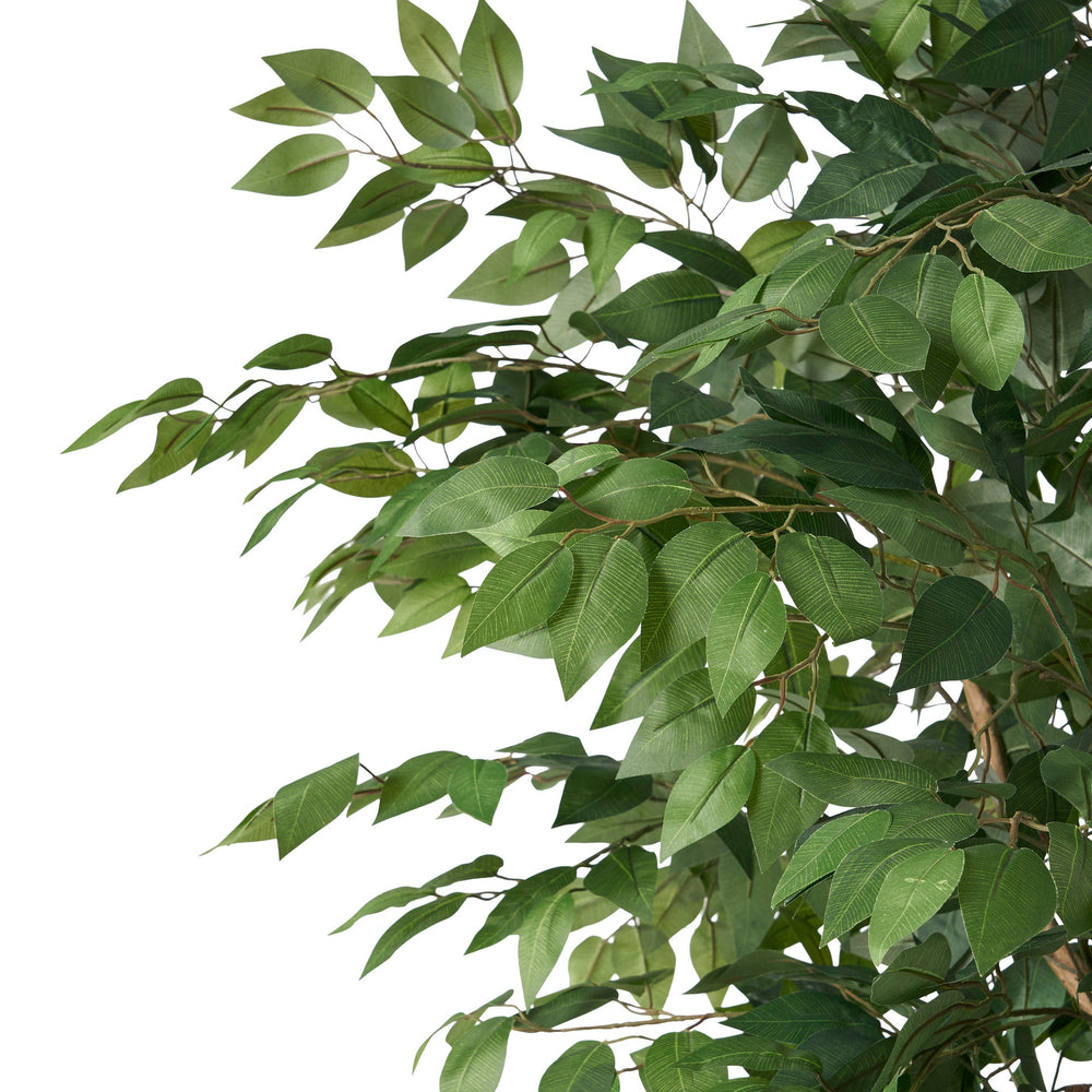 180CM ARTIFICIAL FICUS TREE Media 5