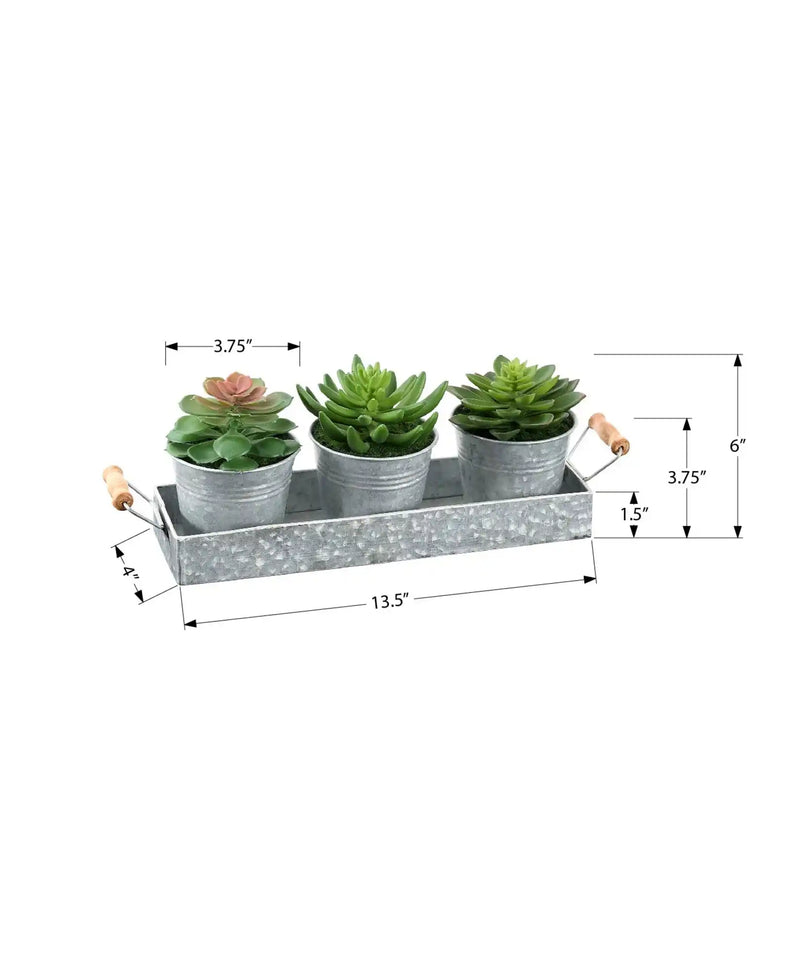 Artificial Plant, Set Of 3, 6' Tall, Succulent, Table, Silver Metal Pots, Contemporary, Modern