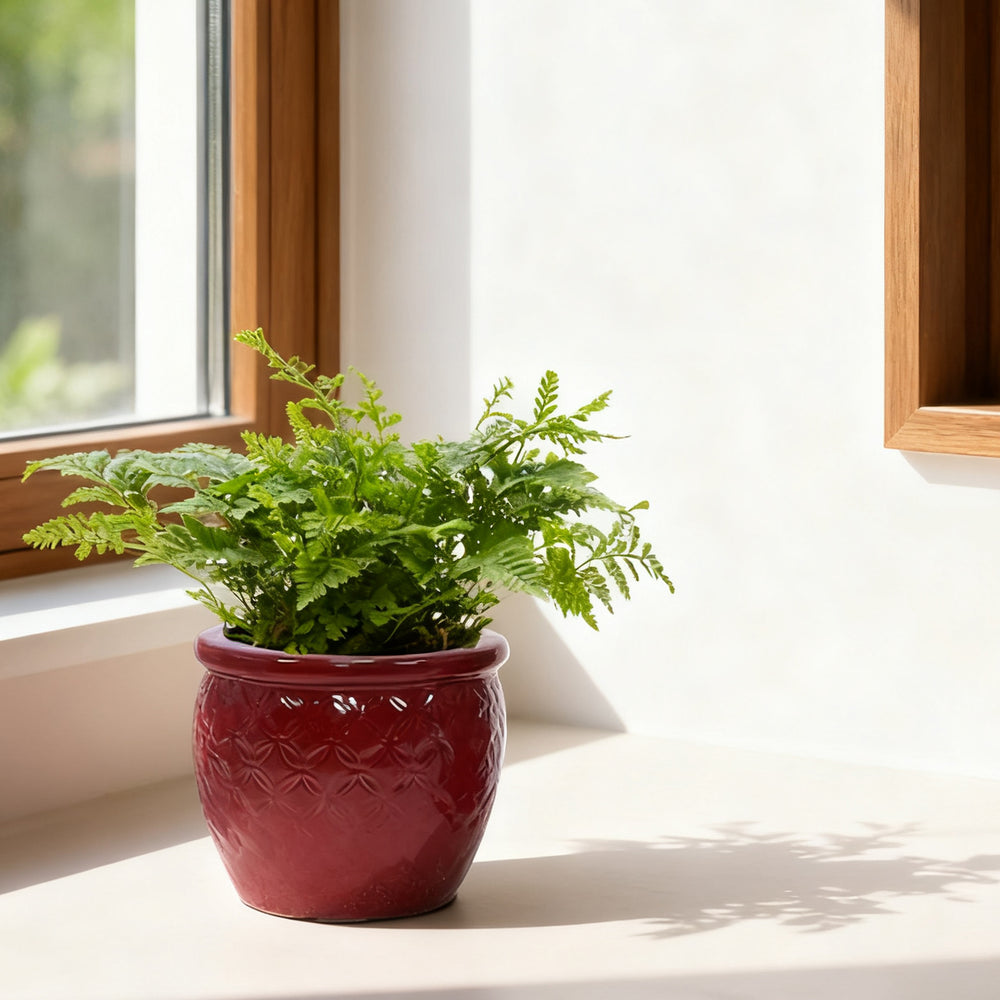 Handmade Ceramic Flower Pot Set of 3, 15/12/10 Inch Diameter, Deep Red with Floral Embossed Pattern, for Orchids Indoor/Outdoor Use on Windowsill & Bookshelf, Breathable Clay Media 7