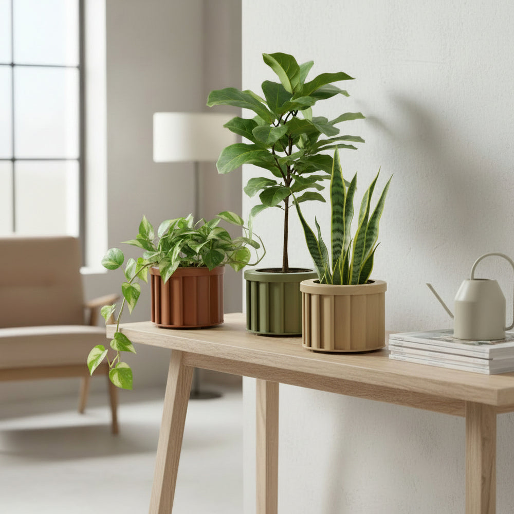 Round Strata Planter SM - Dark Brown Media 8