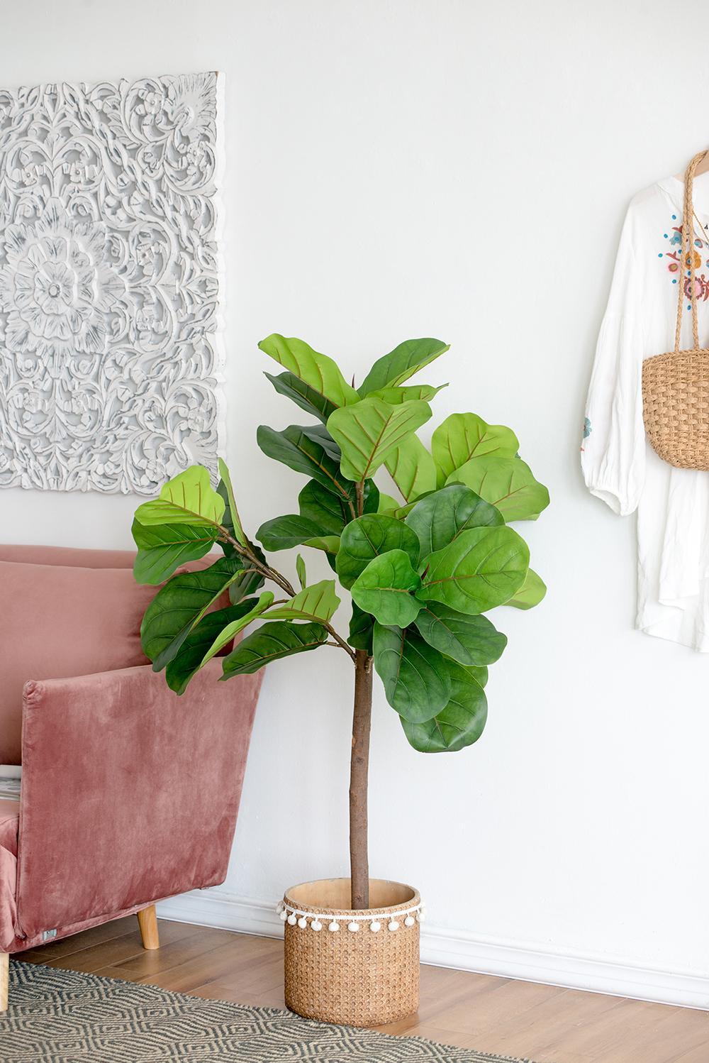 25x25x52'H Fiddle Fig Leaf Tree, 40 Leaves Media 7