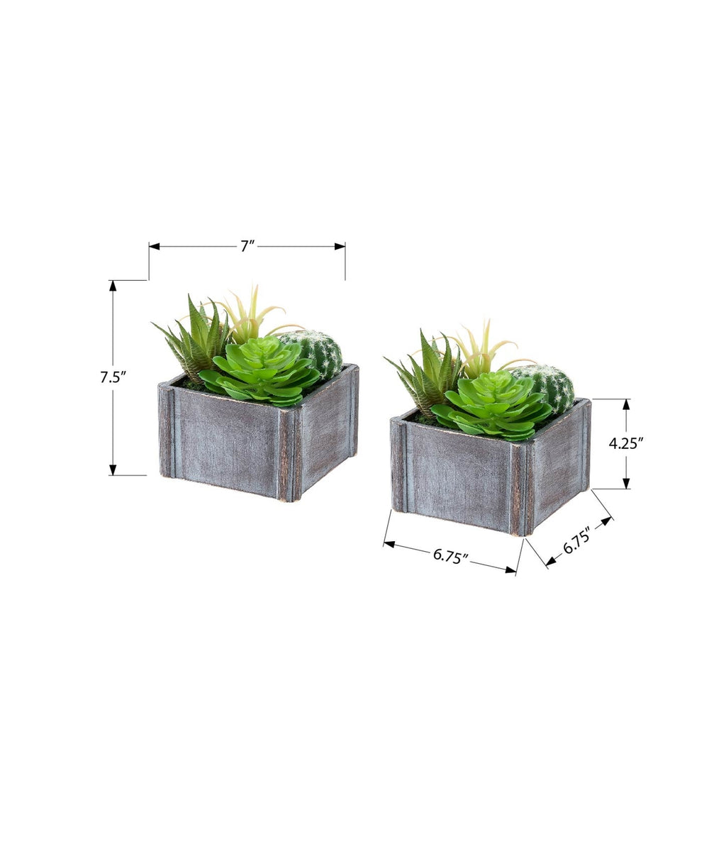 Artificial Plant, Set Of 2, 8' Tall, Succulent, Table, Grey Wooden Pots, Contemporary, Modern Media 5