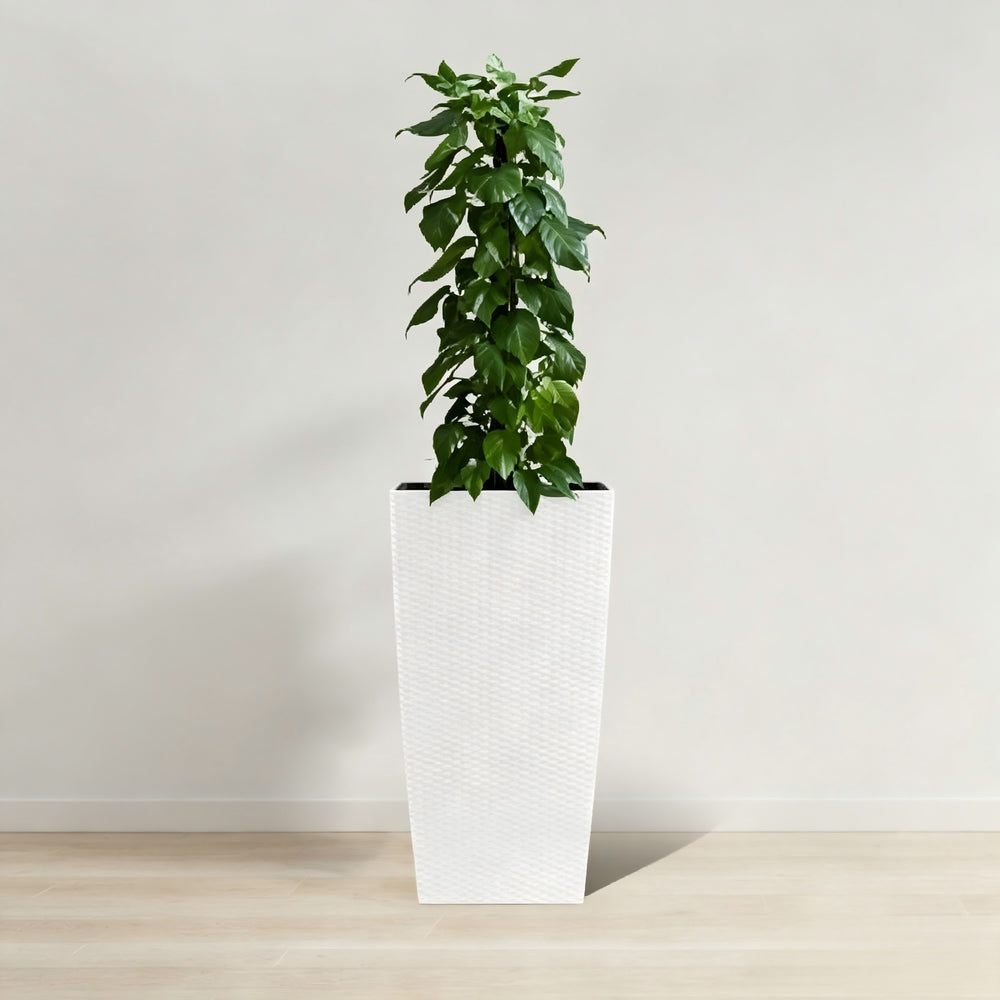 White Faux Rattan Self-Watering Flower Pot with Drainage Holes and Water Level Monitor, 30 in Tall Indoor Outdoor Planter for Garden Patio Porch Backyard Media 10