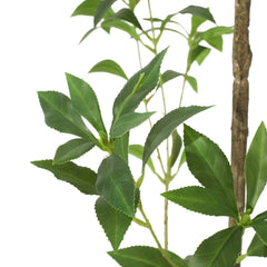 240CMARTIFICIAL PIERIS TREE perspective