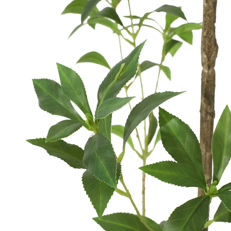 240CMARTIFICIAL PIERIS TREE