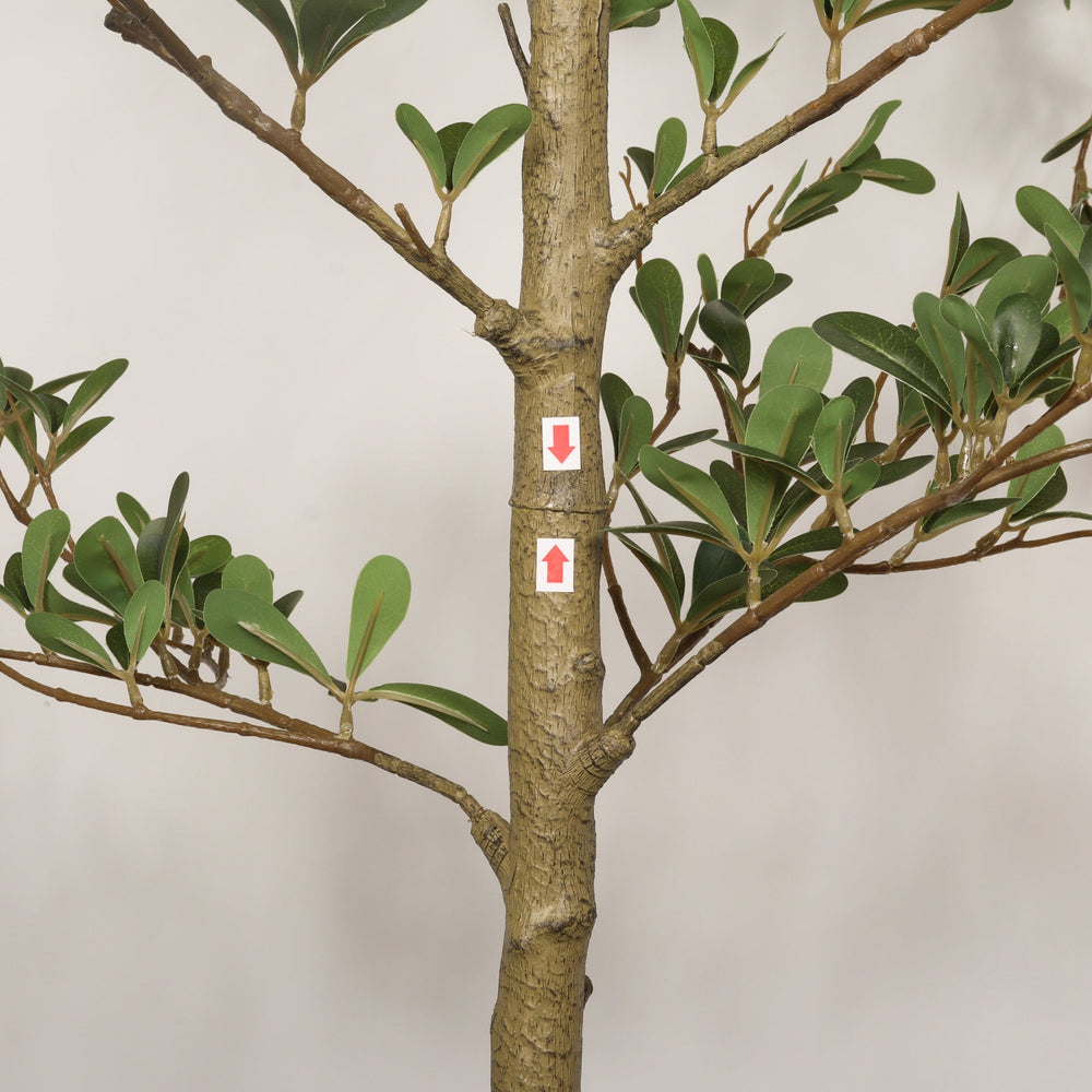 7FT Artificial Black Olive Tree with Black Plastic Pot, Realistic Tall Fake Plant for Indoor Home Living Room Corner Decoration, 1pc/set Media 10